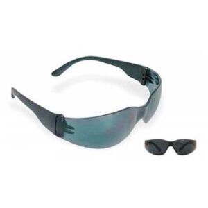 Anteojo Libus Ecoline gris HC